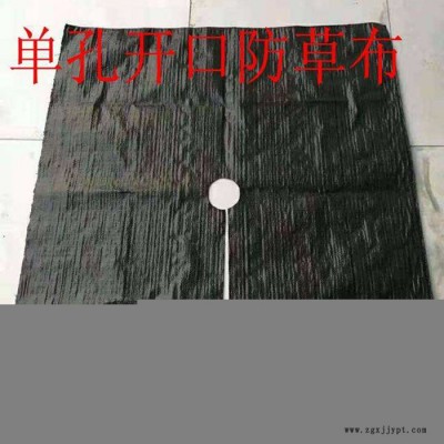 清镇园艺地布 农业种植pp防草布 保湿 透气 除草图4