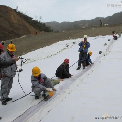 eva点式复合土工膜 防渗复合土工膜价格 经编复合土工膜 复合防水土工膜检测标准图2