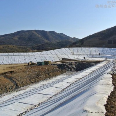 eva点式复合土工膜 防渗复合土工膜价格 经编复合土工膜 复合防水土工膜检测标准图3