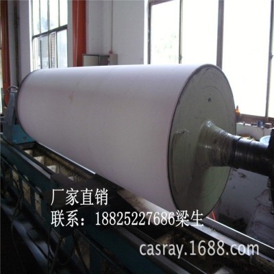 生产pe.pof.pp.pvc胶轴进口材料 生产cpp.eva镜面胶辊图1