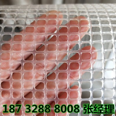 奔宇  厂家供应 滤芯塑料网 pp pe 方孔塑胶网 规格齐全图6
