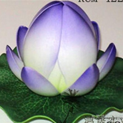 东莞鸿晟**仿真EVA荷花莲花 仿真EVA花 仿真荷花 仿真花图3