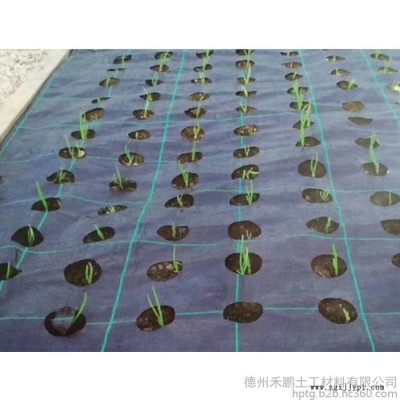 禾鹏 防草布厂家PP防草布价格图2