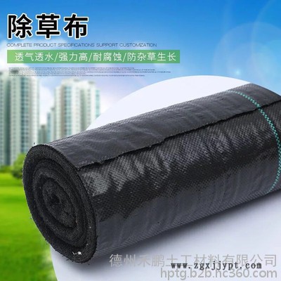 禾鹏 防草布厂家PP防草布价格图4