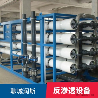 销售双级反渗透设备 聊城润斯 反渗透设备pp 可定制 库存足图2