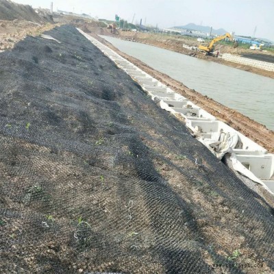 生态绿化国标水土保护毯 三维柔性7020水土保护毯 聚酰胺pa6水土保护毯 富海厂家热卖