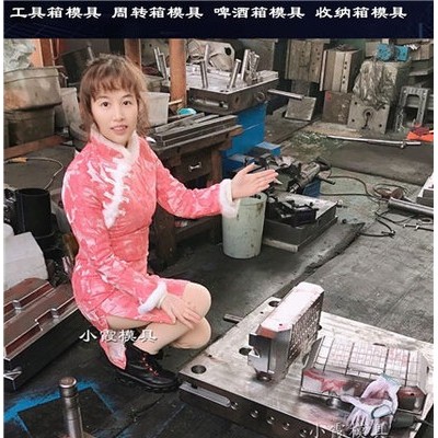 塑料PA66保温箱模具  塑料PC周转篮模具 塑料ABS日用品模具供应商图4