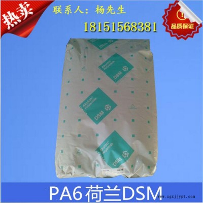 尼龙pa6料 批发代理 PA6/荷兰DSM/K224-G3