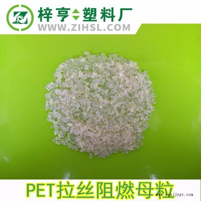 金亨 PET无卤阻燃母粒 PET阻燃剂 发丝假发透明阻燃母料图2