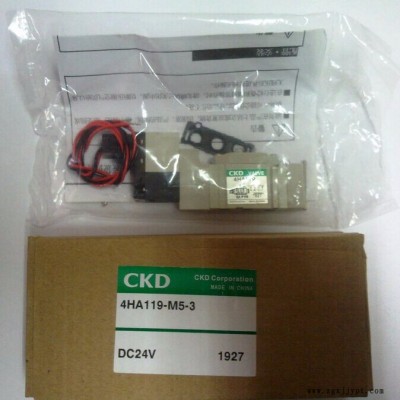 PPE-V01-H6日本CKD喜开理阀电磁图3