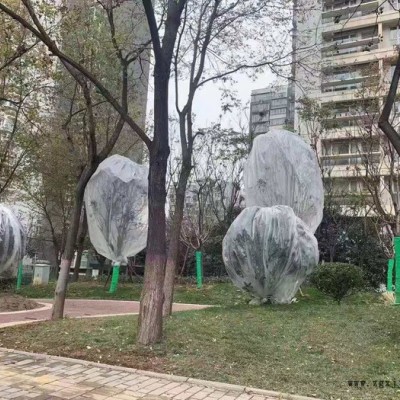 金盾 生产透明PET膜 pet薄膜 pet透明膜 PET保护膜 透明薄膜 农用薄膜图2