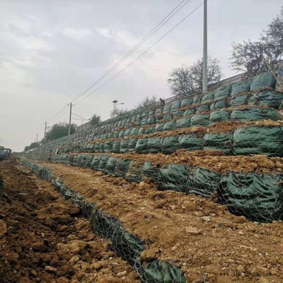 富海厂家供应PET土工石笼袋 河道护底土工固袋 绿色生态袋 护坡植生袋图6