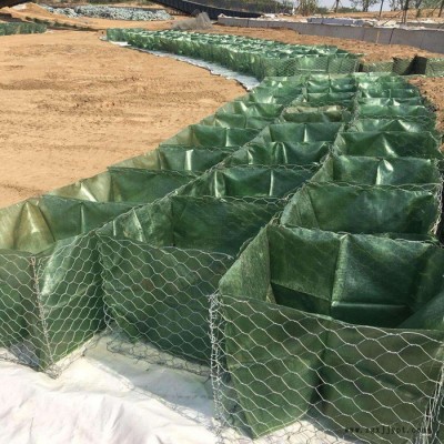富海厂家供应PET土工石笼袋 河道护底土工固袋 绿色生态袋 护坡植生袋图4