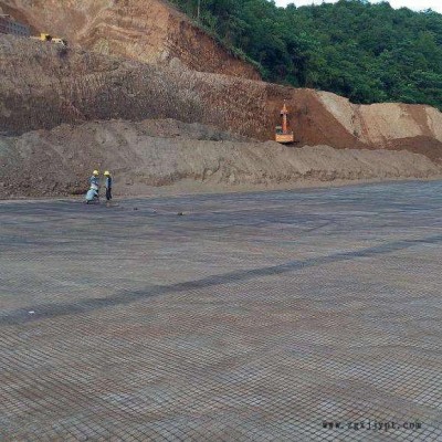 瑞亨  凸结点钢塑土工格栅  矿用土工格栅  PET聚酯焊接土工格栅图5
