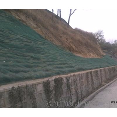 致辰供河道治理pet土工石笼袋  石笼袋厂家价格图2