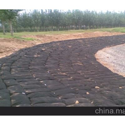 致辰供河道治理pet土工石笼袋  石笼袋厂家价格图5