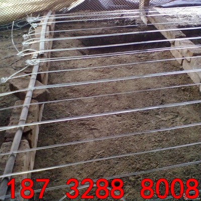 pet各种规格塑钢线 温室大棚专用托膜线 百香果架撑线 现货供应图5