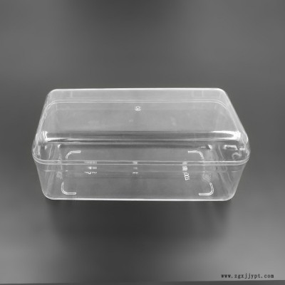 厂家供应专业订制 中艺JNH-007 汕头中艺 PET PVC PP 泡壳 托盘 吸塑盒 蛋糕盒 饼干盒  透明注塑食品图1