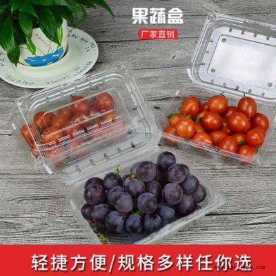 吸塑果蔬包装盒 pet果蔬盒 果蔬盒250 果蔬盒 塑料 一次性 透明水果盒   蛋糕盒图5