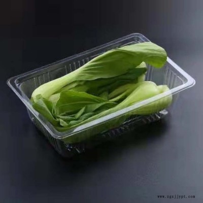 吸塑果蔬包装盒 pet果蔬盒 果蔬盒250 果蔬盒 塑料 一次性 透明水果盒   蛋糕盒图4