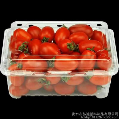 一次性水果盒 塑料包装盒 草莓车厘子保鲜打包盒 有盖透明长方形 PET材质图5
