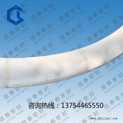 40050015人孔垫片，四氟包覆手孔垫片，反应釜密封圈，手孔垫片图4