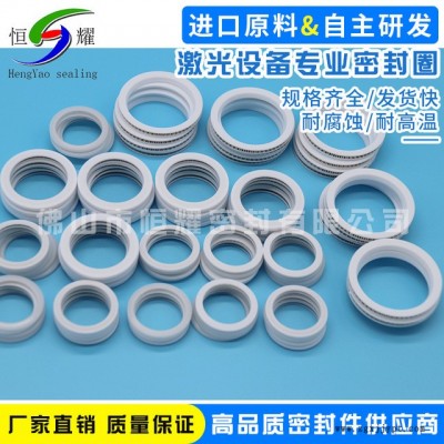 厂家直销机械密封圈 专业激光设备密封件 标准泛塞封密封件密封圈图2