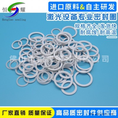 厂家直销机械密封圈 专业激光设备密封件 标准泛塞封密封件密封圈图4
