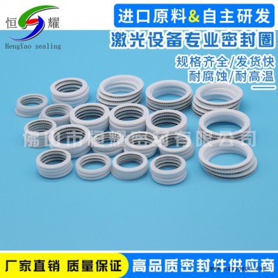 厂家直销机械密封圈 专业激光设备密封件 标准泛塞封密封件密封圈图5