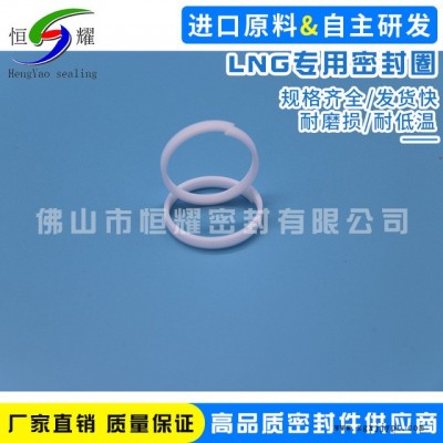 厂家现货销售进口LNG密封圈 耐高温LNG圆形密封圈 厂价直销图2