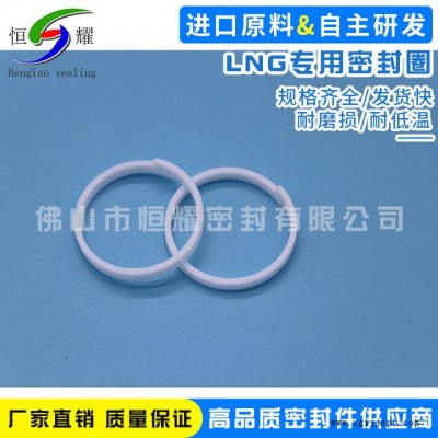 厂家现货销售进口LNG密封圈 耐高温LNG圆形密封圈 厂价直销图1