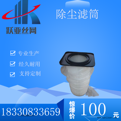 圆形带密封圈除尘滤芯 跃亚YY-1394净化除尘滤筒 定制除尘滤筒价格图2