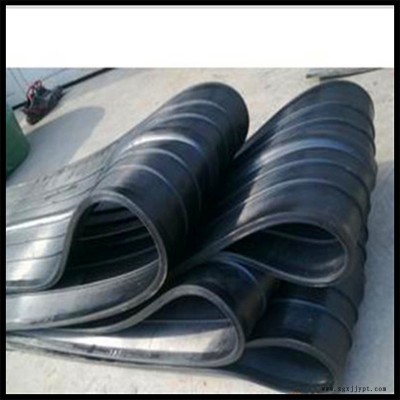 厂家现货供应橡胶止水带 平板式 隧道 桥梁涵洞 高速公路橡胶止水带 量大优惠 支持定制图4