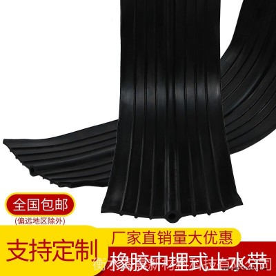 海晨供应地下室橡胶止水带 橡胶止水带 橡胶钢板止水带 规格齐全图1