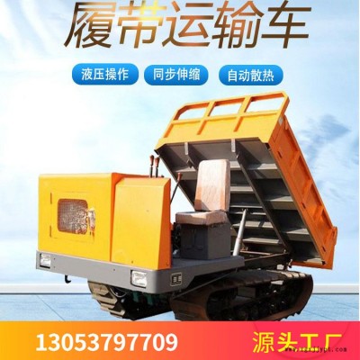 热销 矿山运输履带车 橡胶履带防滑运输车 爬山虎履带车 德瑞斯图2