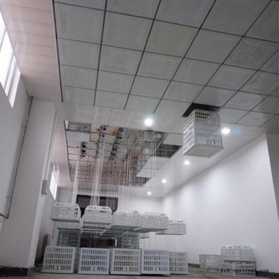 澡堂吊篮 矿用更衣吊篮 煤矿矿用更衣吊篮 无线电动吊篮 欢迎咨询图1