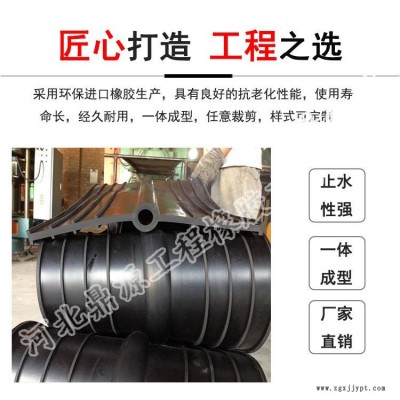 鼎源2021年橡胶止水带 中埋式外贴式背贴钢边式可卸遇水膨胀 651 652型300*8图1