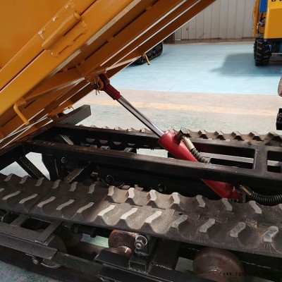 厂家热销 柴油小型履带运输车 小型履带运输车 橡胶履带自卸车 工程履带运输车图2
