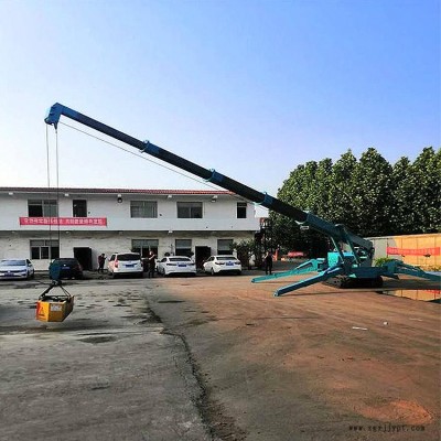 供应小型橡胶履带蜘蛛吊车 铁履带蜘蛛吊车厂家直销图3