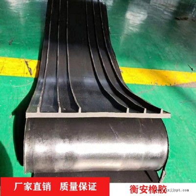 衡安橡胶 350*8可卸式中埋式止水带 橡胶止水带 货到付款图3