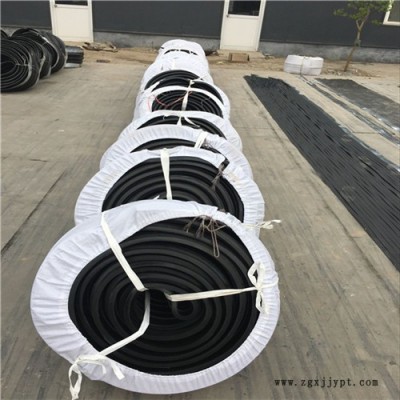 管廊用橡胶止水带 海西400×10中埋式止水带 橡胶止水带价格图3