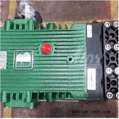 意大利BERTOLINI 贝托里尼CK115 CK110 柱塞泵图1
