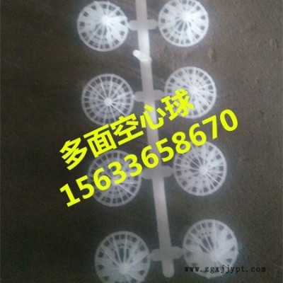 多面空心球 PP材质 鲍尔环 泰勒环图3