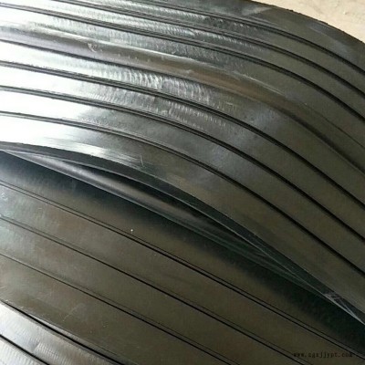 综合管廊用橡胶止水带 钢边式橡胶止水带 巢湖水库用橡胶止水带图2