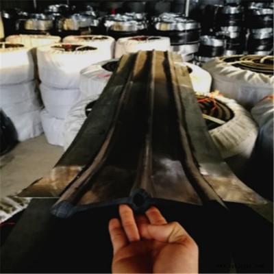 宝晟 现货供应施工钢边橡胶止水带 桥梁橡胶止水带 加工定做图1