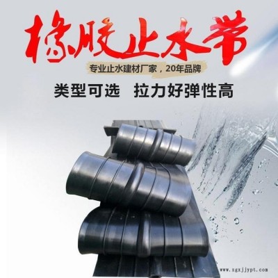 海晨供应中置式橡胶止水带 外贴橡胶止水带 651型止水带 量大优惠图1