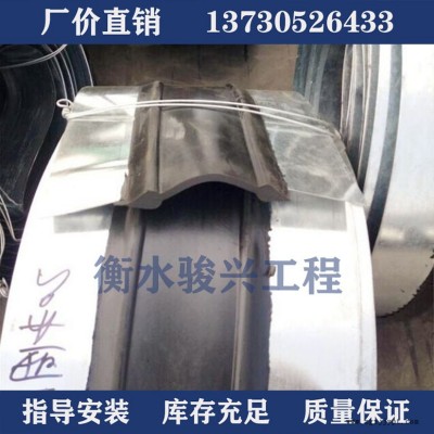 厂家生产钢边橡胶止水带 遇水膨胀橡胶止水带 中埋外贴背贴平板pvc丁基钢板腻子钢边式可卸式止水带 衡水骏兴现货批发图2