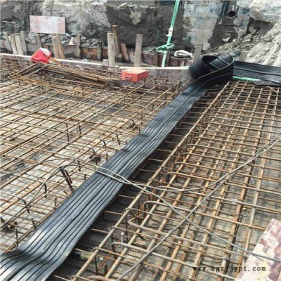 供应橡胶止水带 中埋式止水带 背贴式止水带 赣州钢边止水带图1