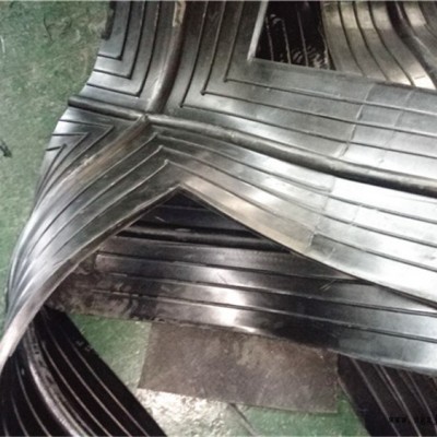管廊用止水带_管廊用止水带施工_盈辉橡塑管廊用橡胶止水带现货供应图2
