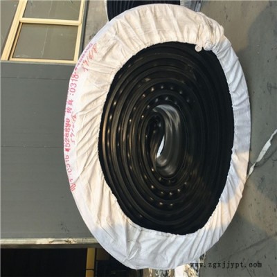 中埋式止水带 西安300×6可卸式止水带 橡胶止水带厂家图1